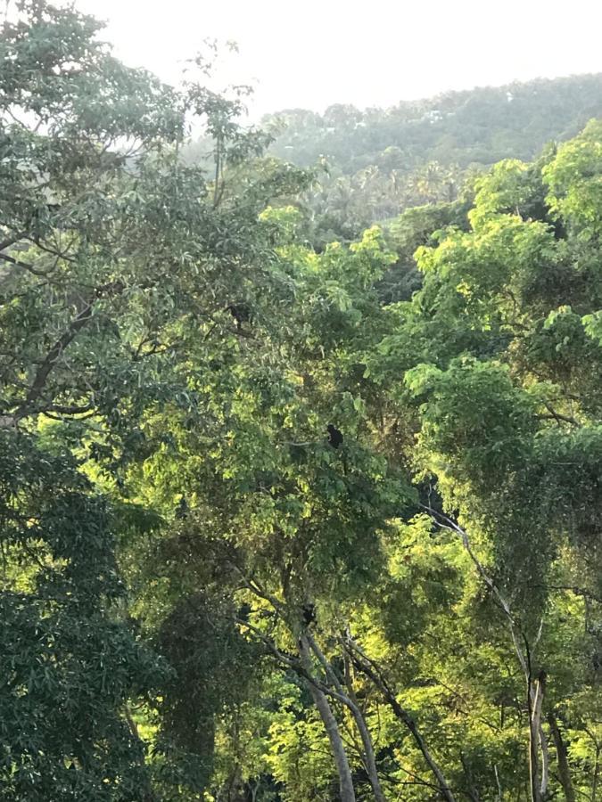 Dragonfly Senaru Lodge מראה חיצוני תמונה